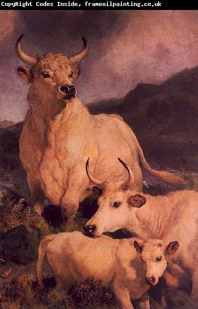 Sir Edwin Landseer Wild Cattle at Chillingham